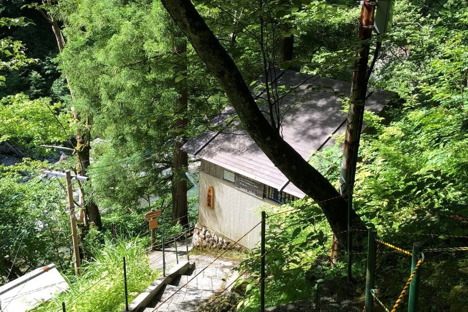Kuronagi