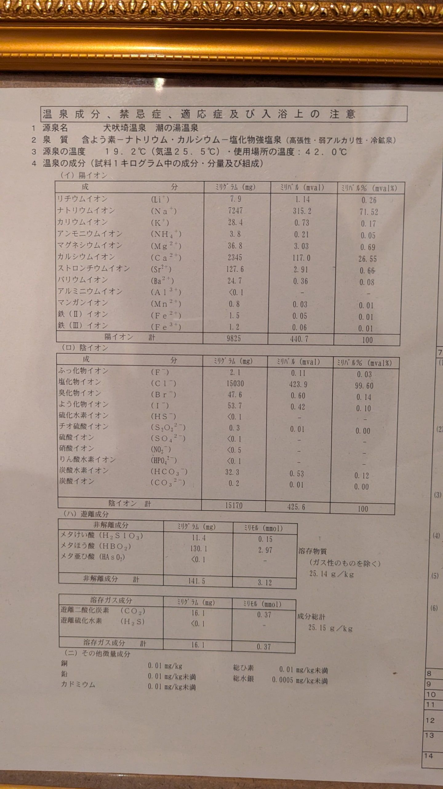 Inubosaki Shionoyu Hot Spring, photo 6