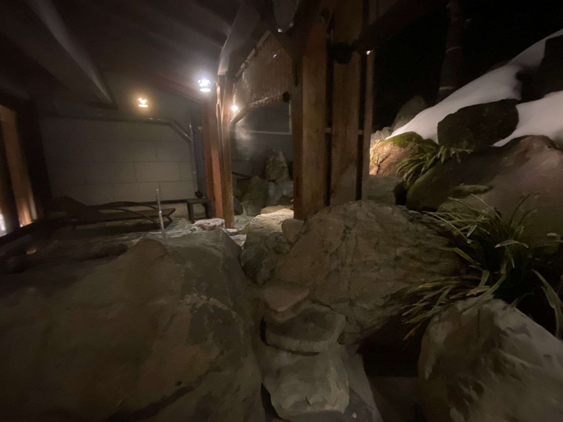Maruyama Onsen Kojyokan, photo 6
