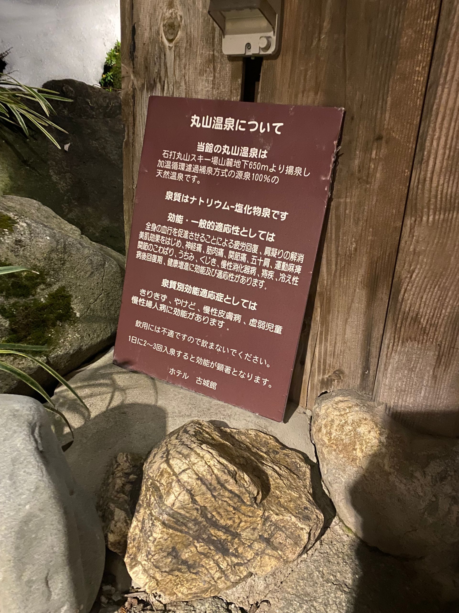 Maruyama Onsen Kojyokan, photo 4