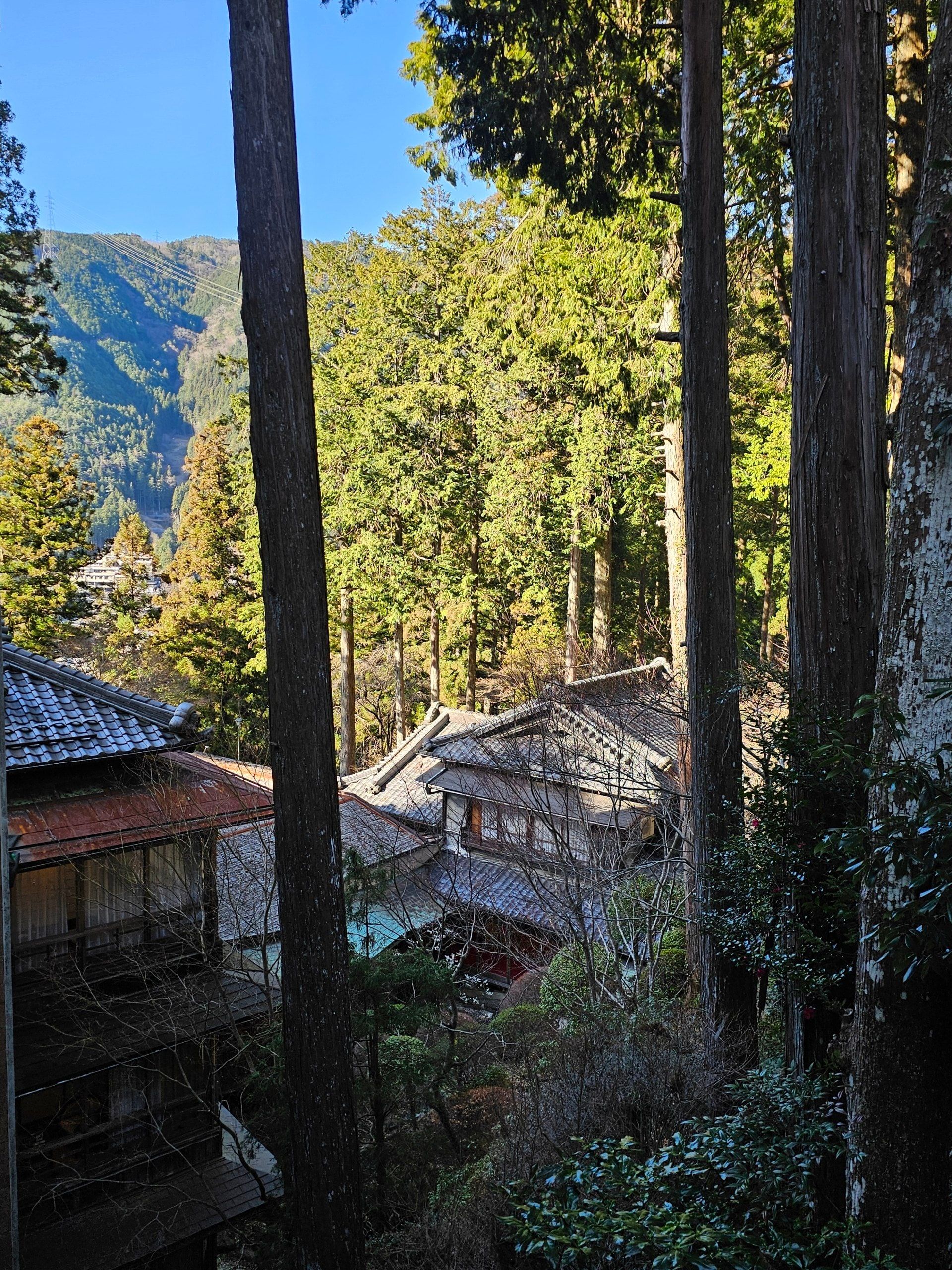 Yunoshimakan, photo 21