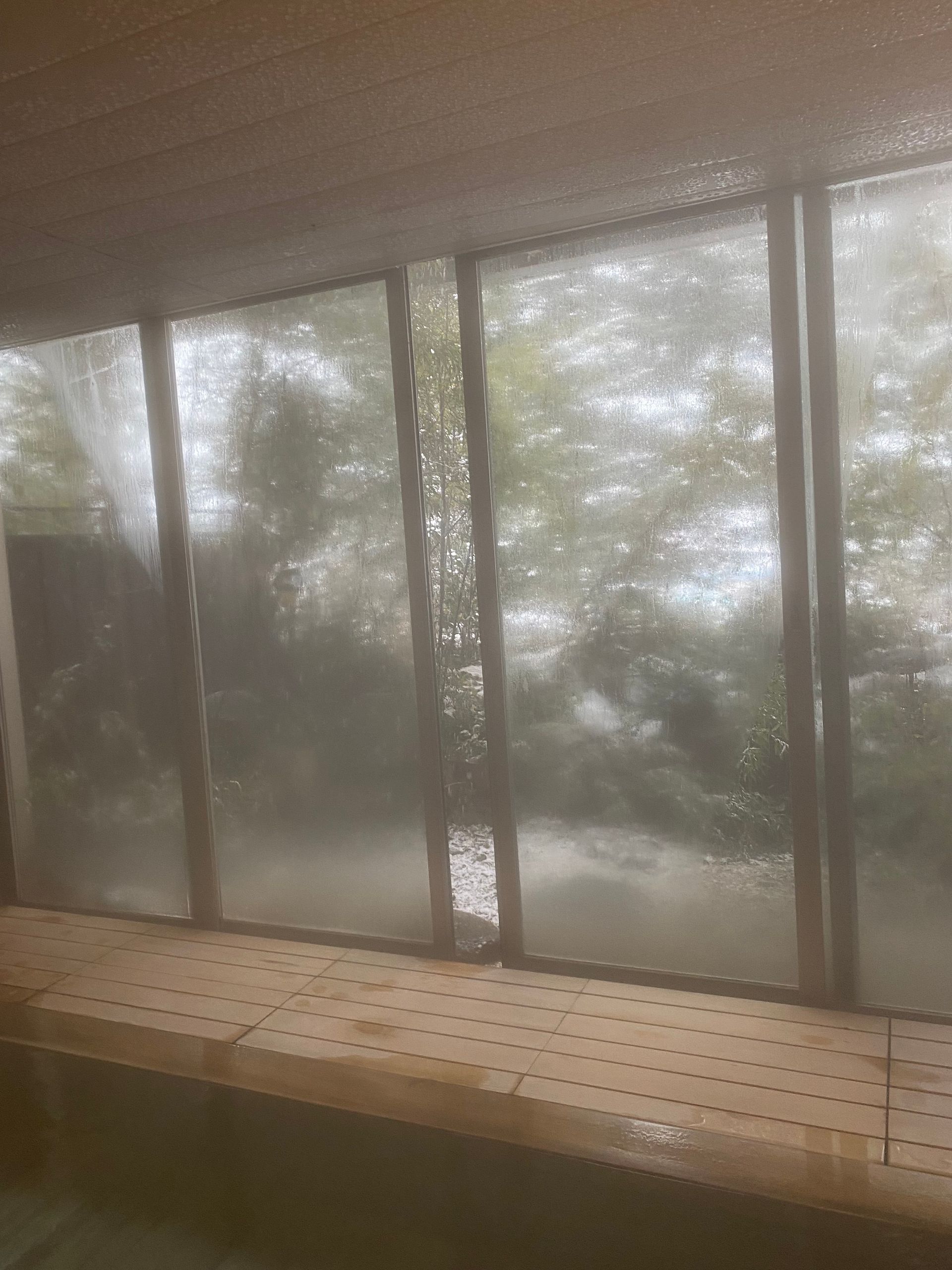 Yuzawa Park Hotel — photo 3