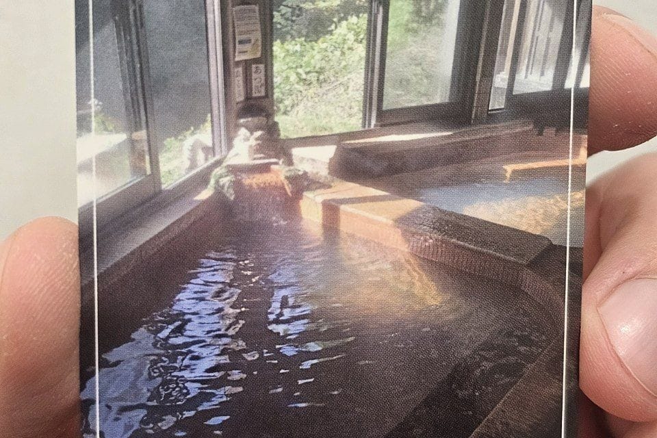 Hinode Onsen Kinoko no Sato (Kirishima Onsen)