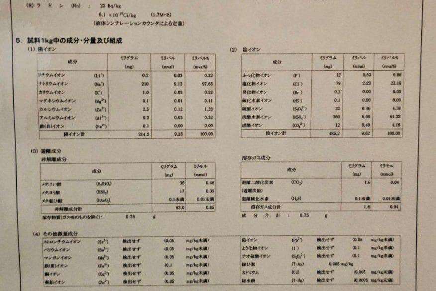 Hayashida Onsen Yu No Yama No Yu