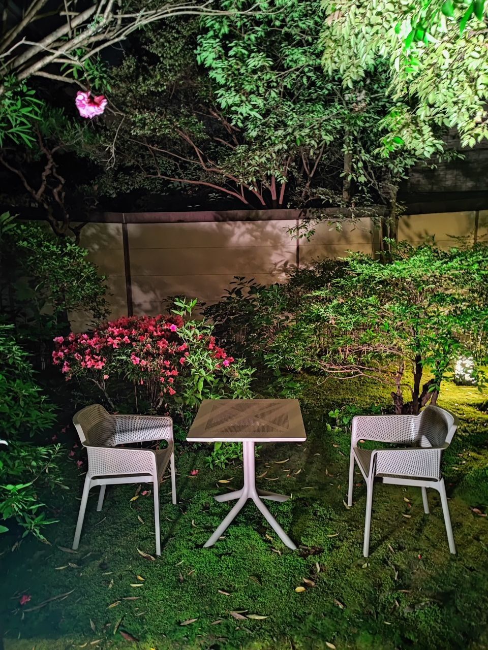 Yu Meguri No Yado Yoshiharu — photo 4