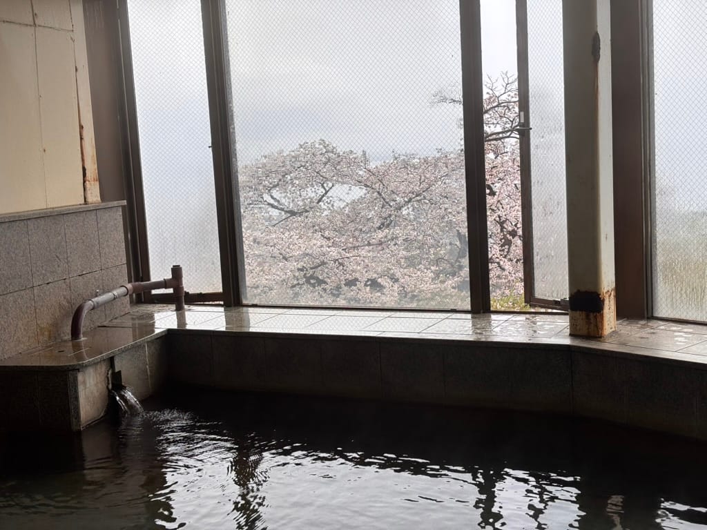 Beppu Rakutenchi Zekkei No Yu — photo 11