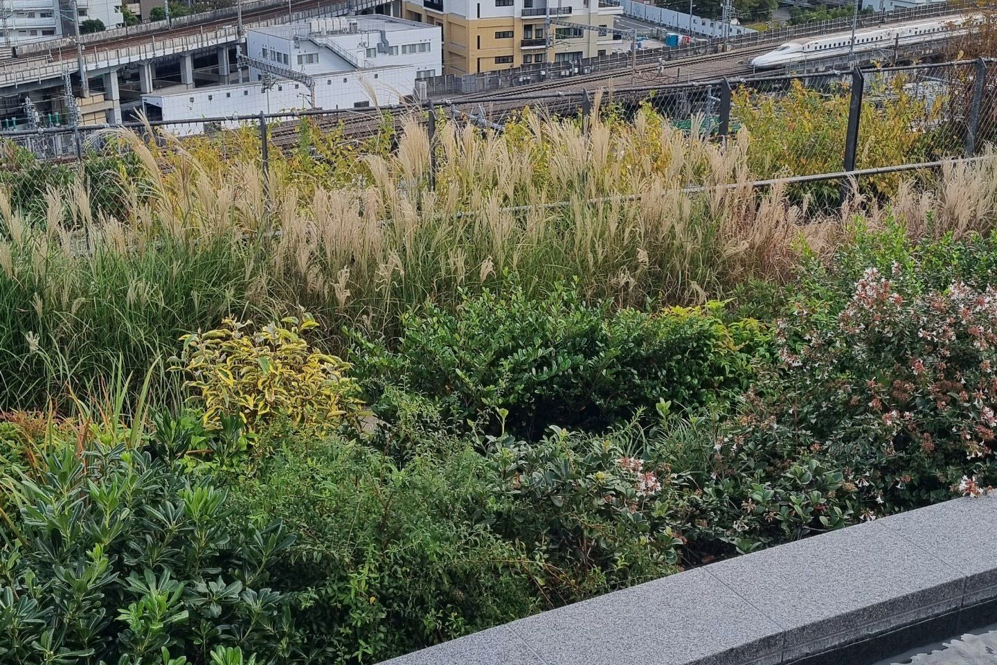 足湯テラス