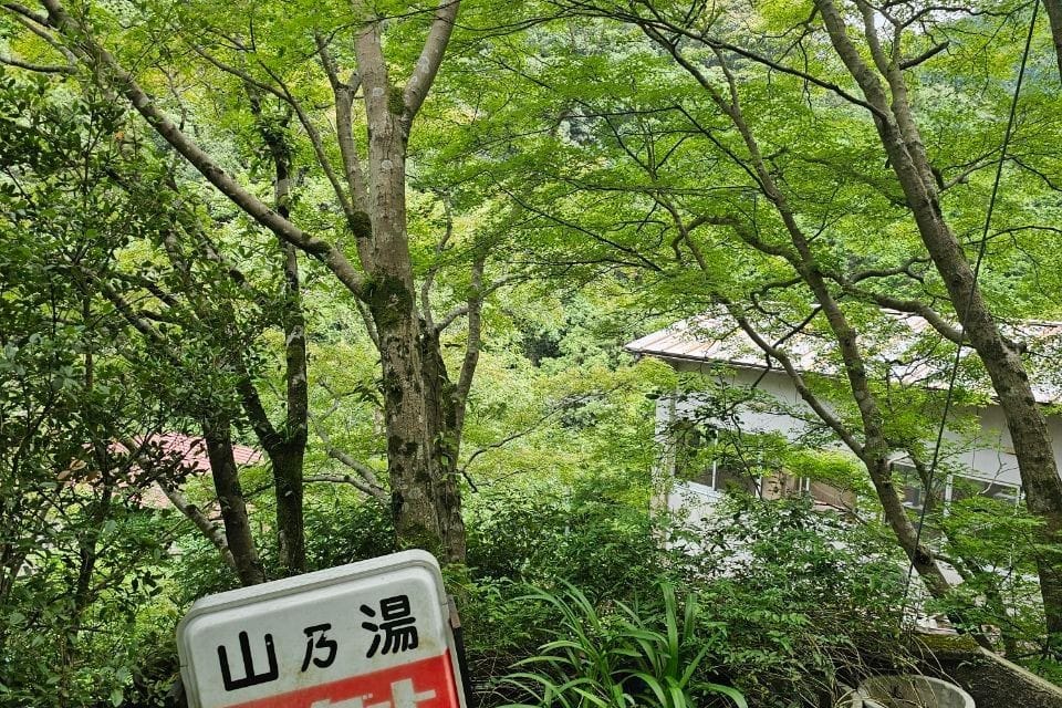 Inunakiyama Onsen Yama 乃 Yu