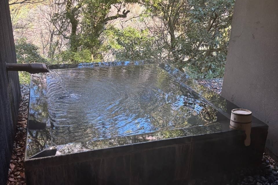 Ryokan Hakone Ginyu