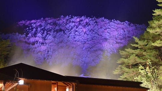 Sainokawara Rotenburo, photo 5