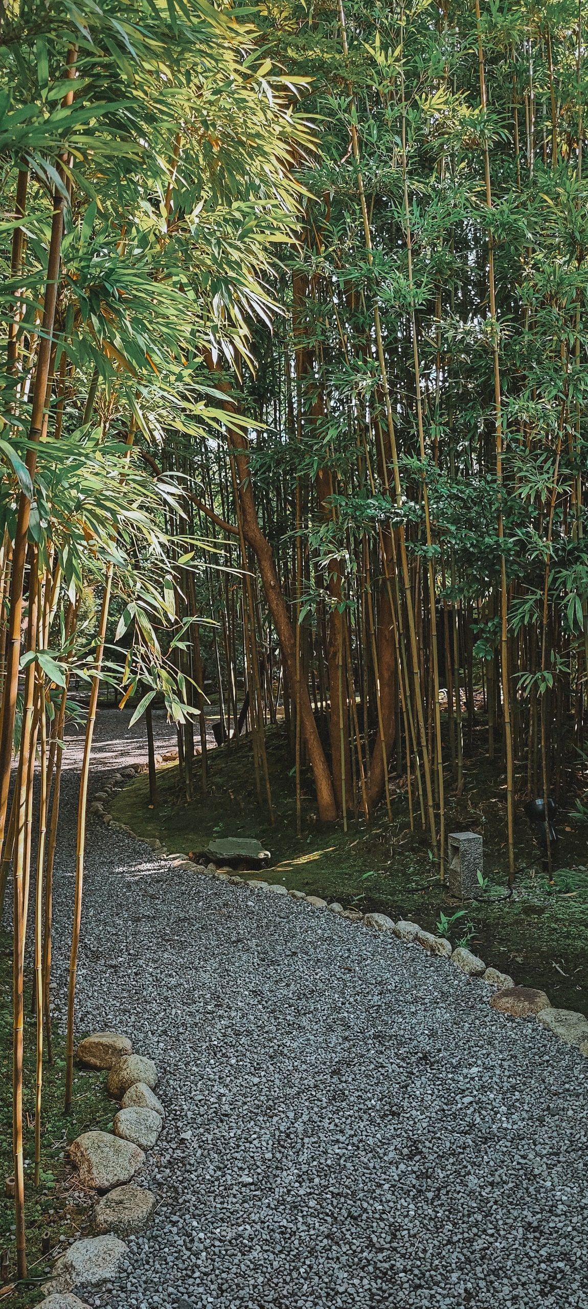 Tsuki No Usagi, photo 13