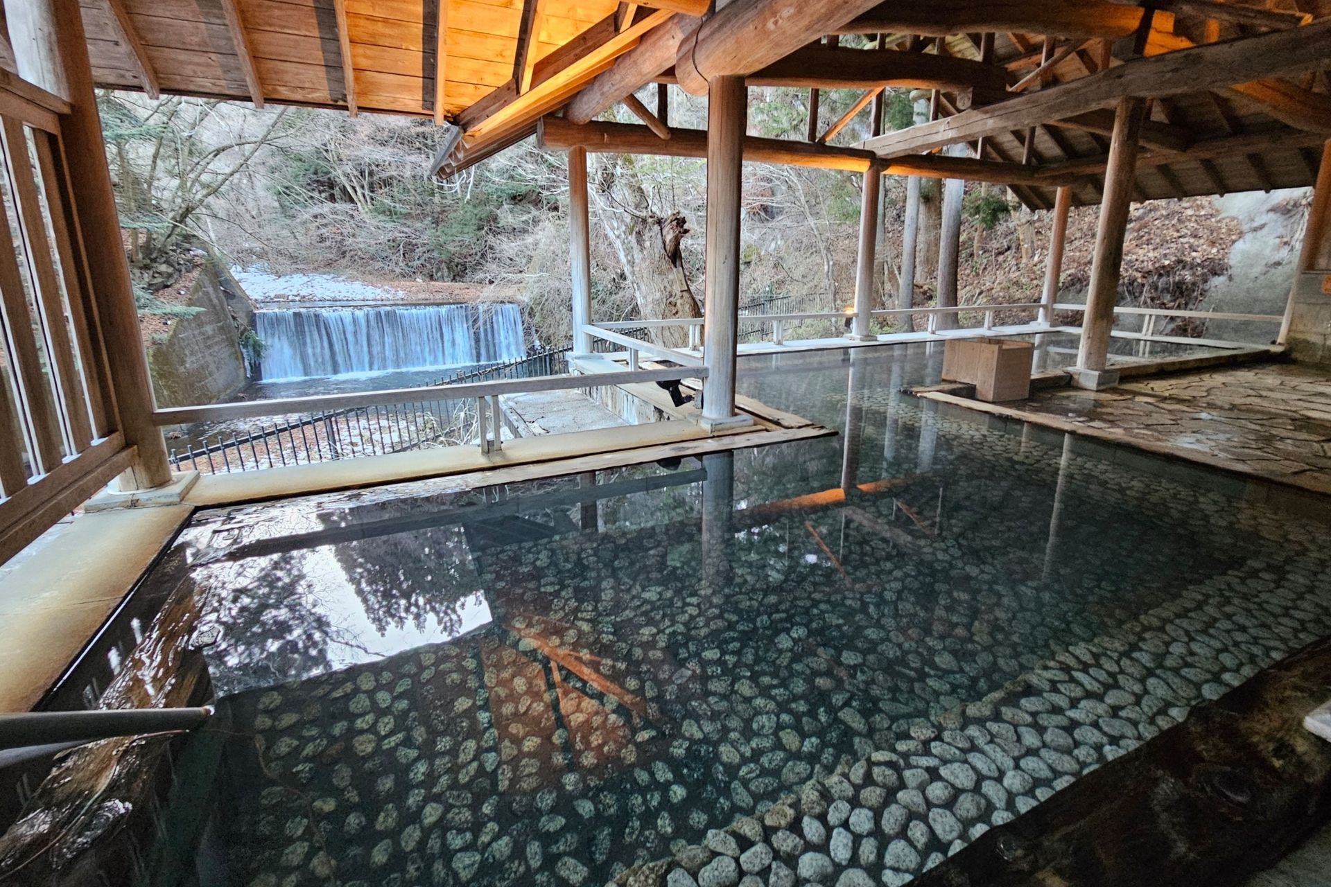 Shima Tamura