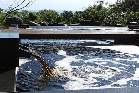 Taiyo Hot Spring