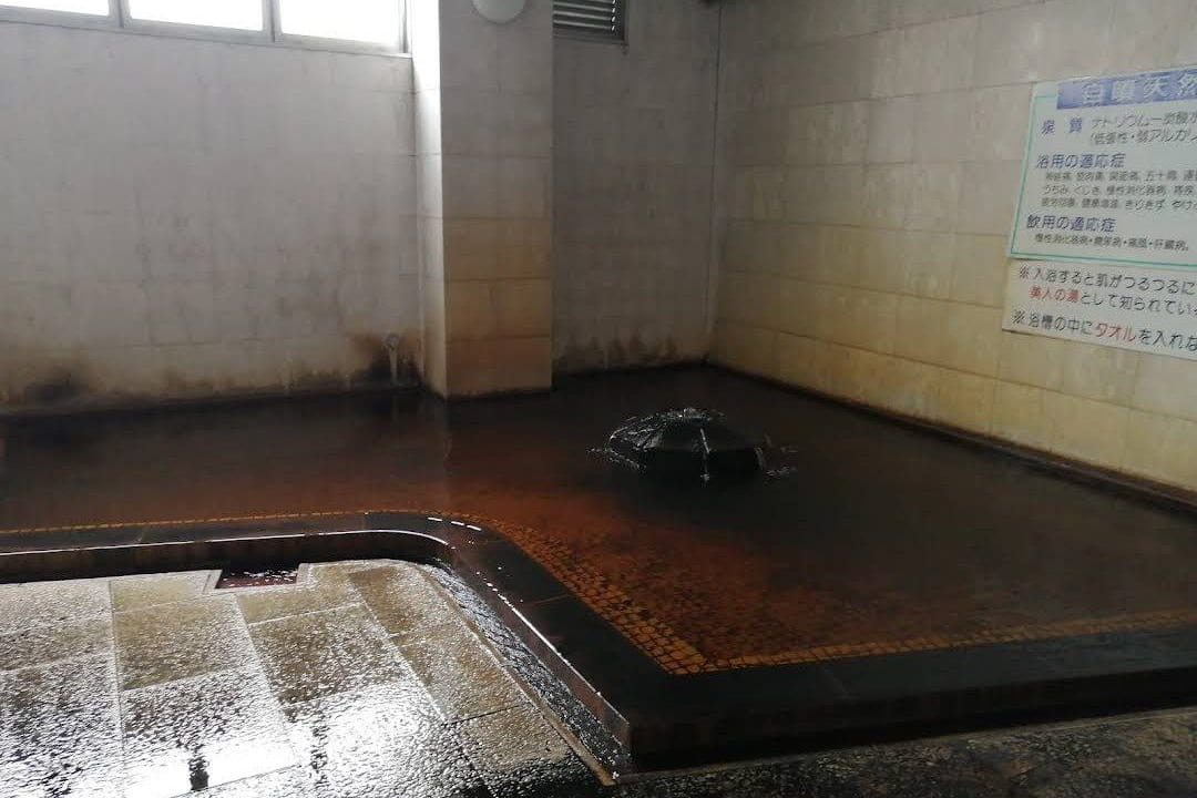 KōFu ShōWa Onsen Bijinesu Hoteru