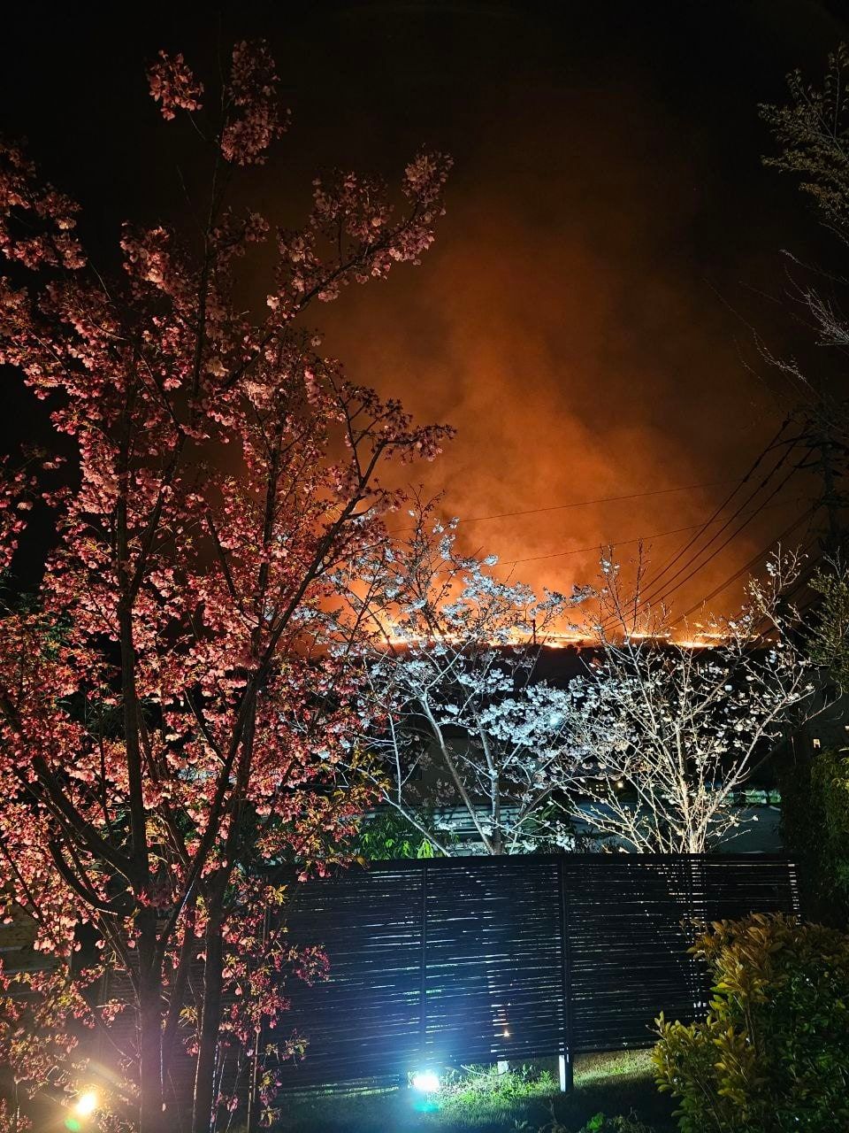 Morinoyu Resort, photo 2