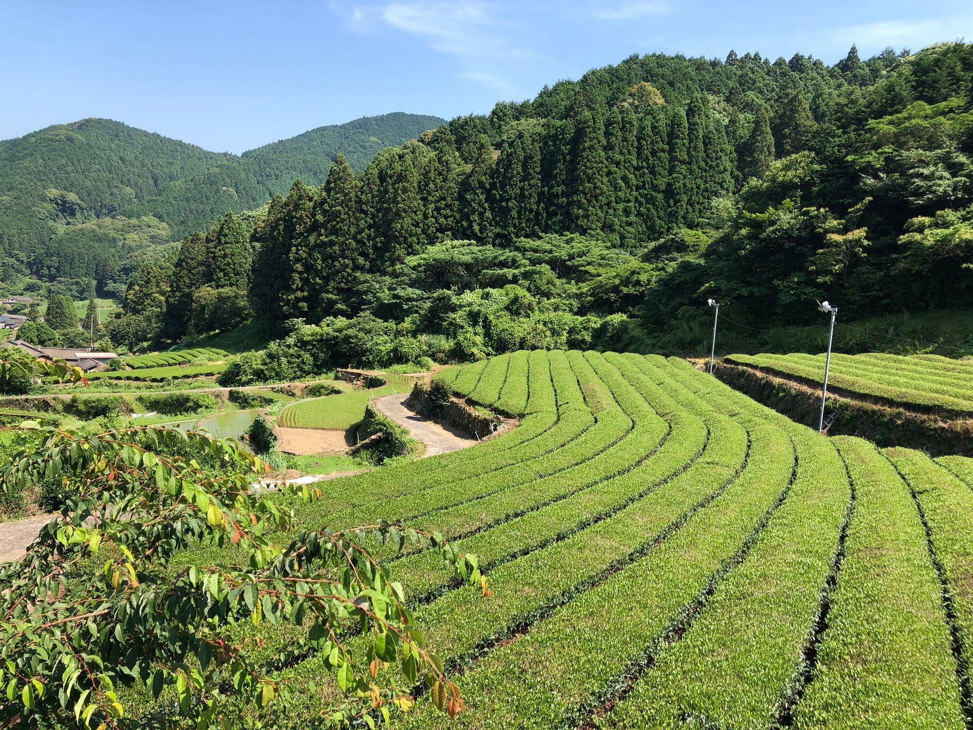 Oku Takeoonsen Kaze No Mori, photo 6
