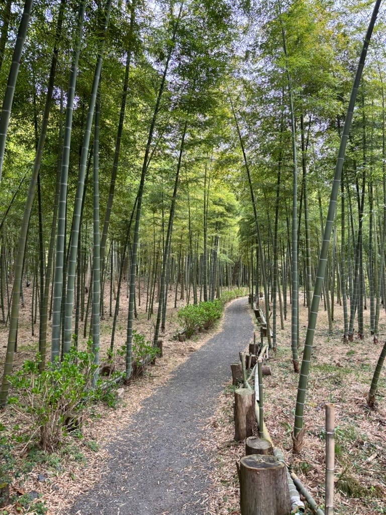 Yuyama no Sato Onsen — photo 13