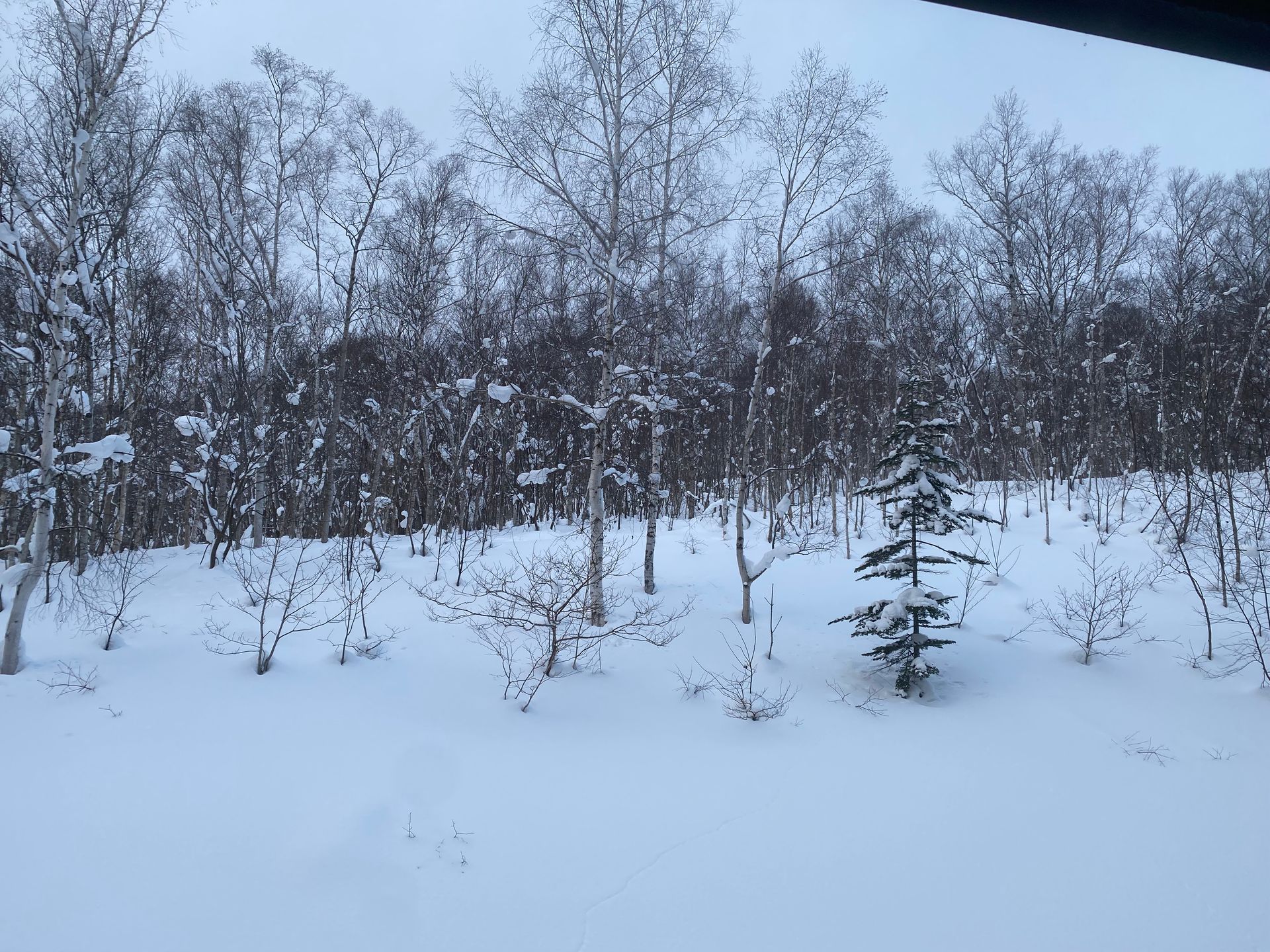 Hotel KANRONOMORI, photo 5
