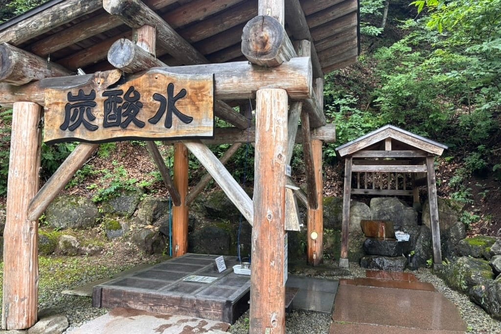 Oshio Sparkling Water Well