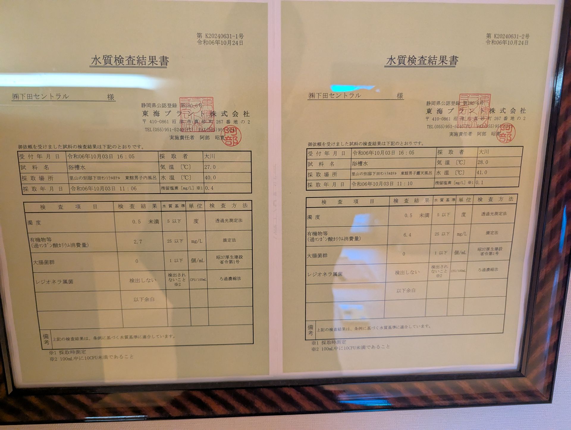 Satoyama no Bettei Shimoda Central Hotel — photo 4