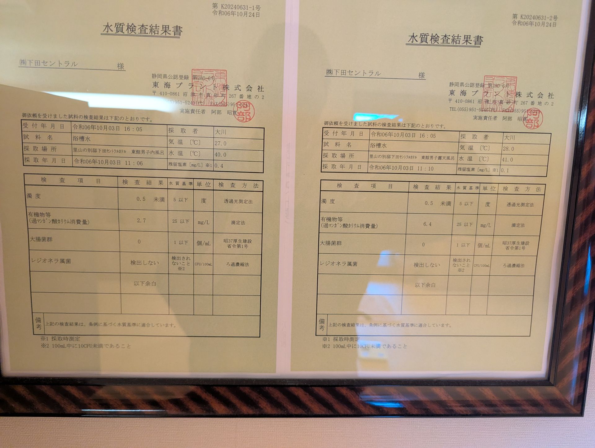 Satoyama no Bettei Shimoda Central Hotel — photo 3