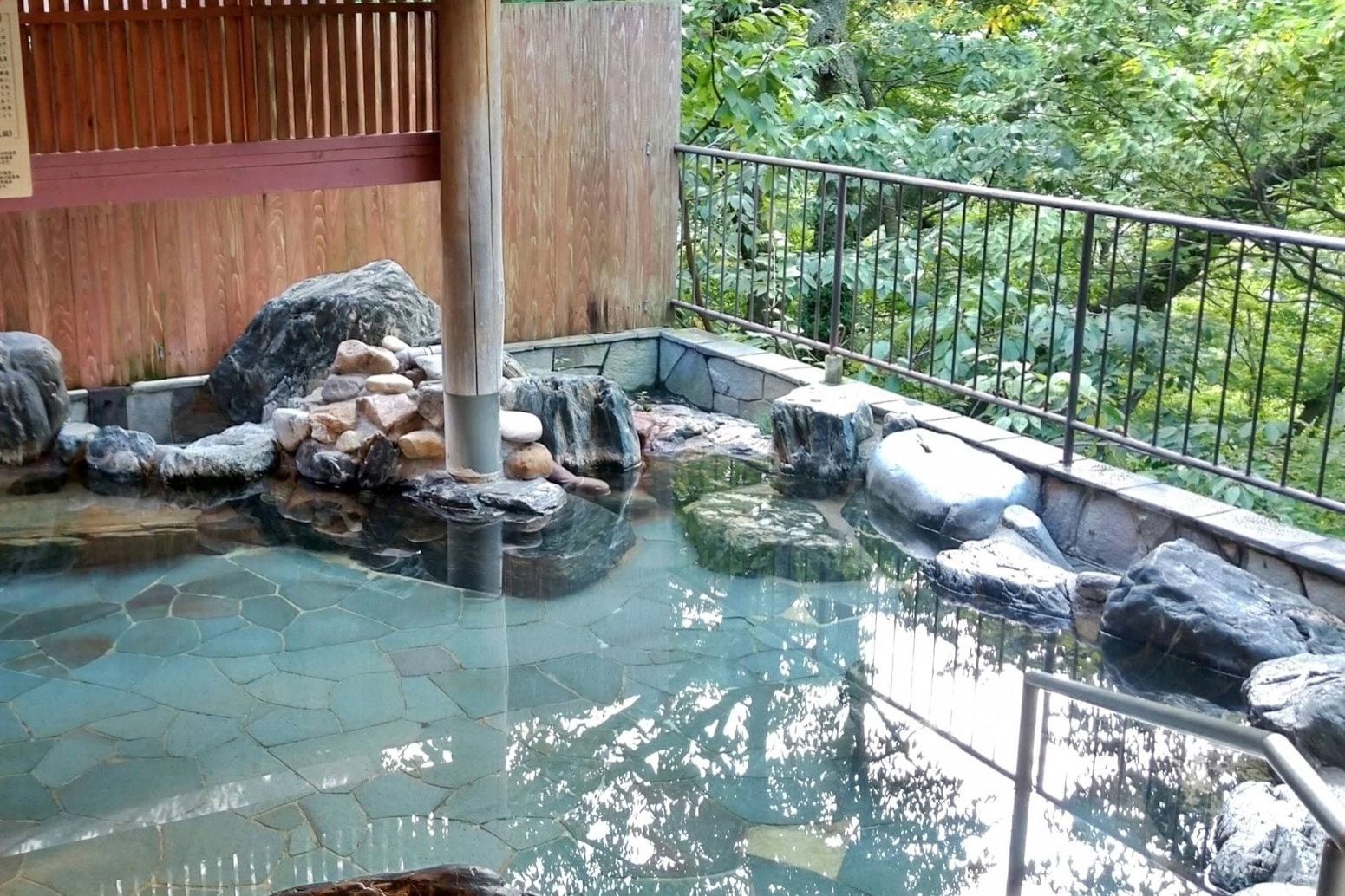 Hotel Kinugawa Gyoen