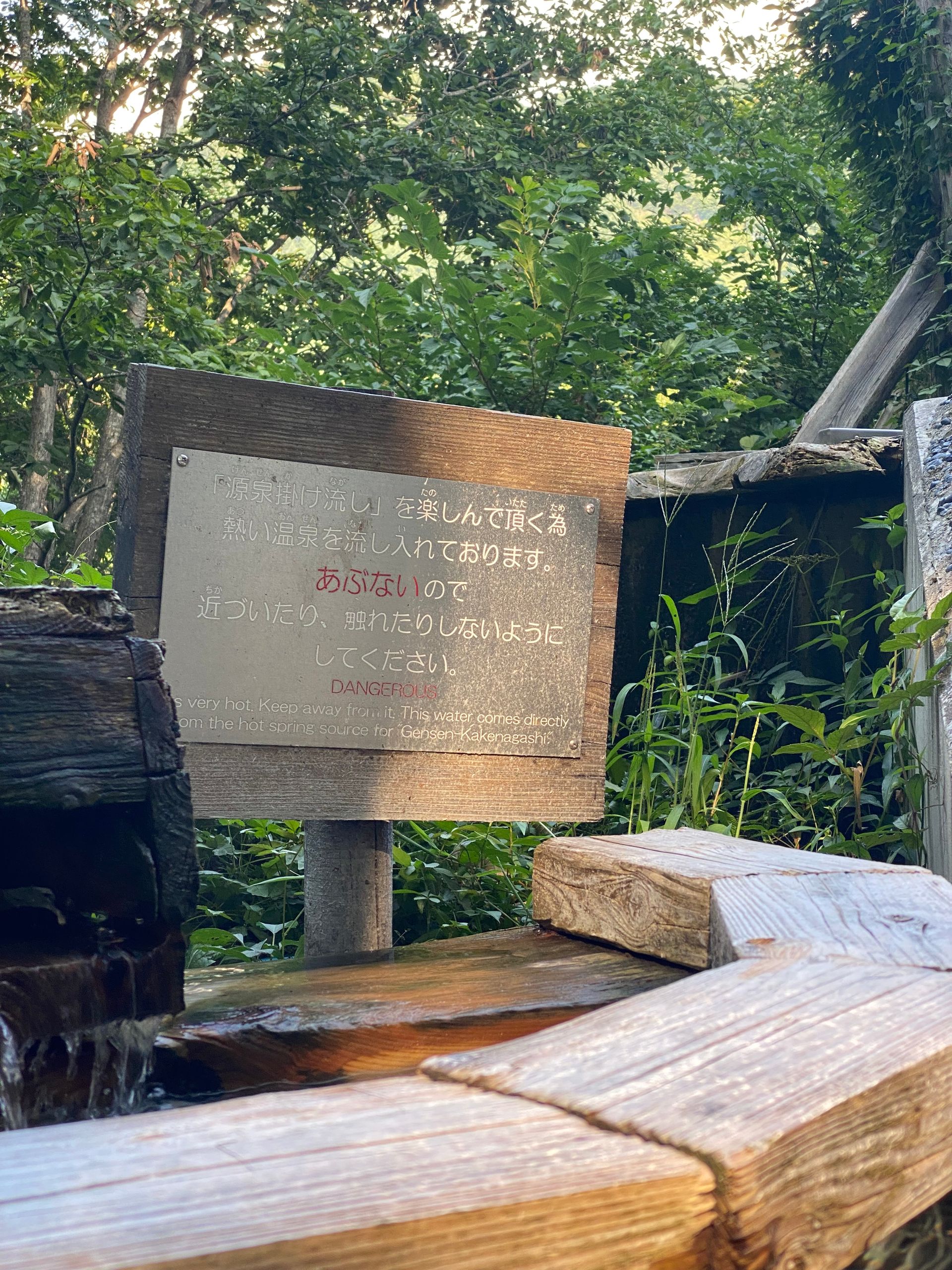 Shojuen — photo 2