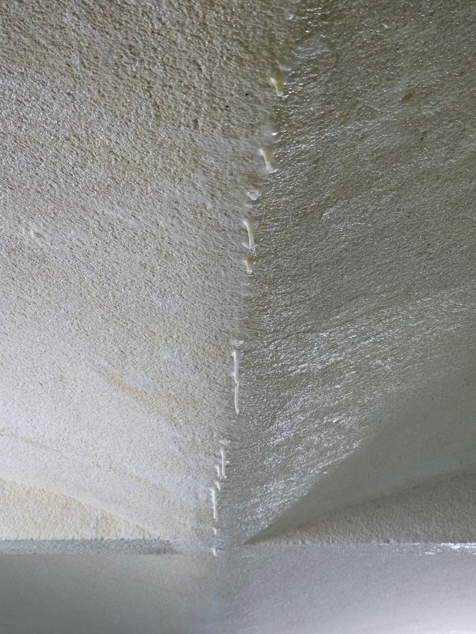 Umeya — photo 5