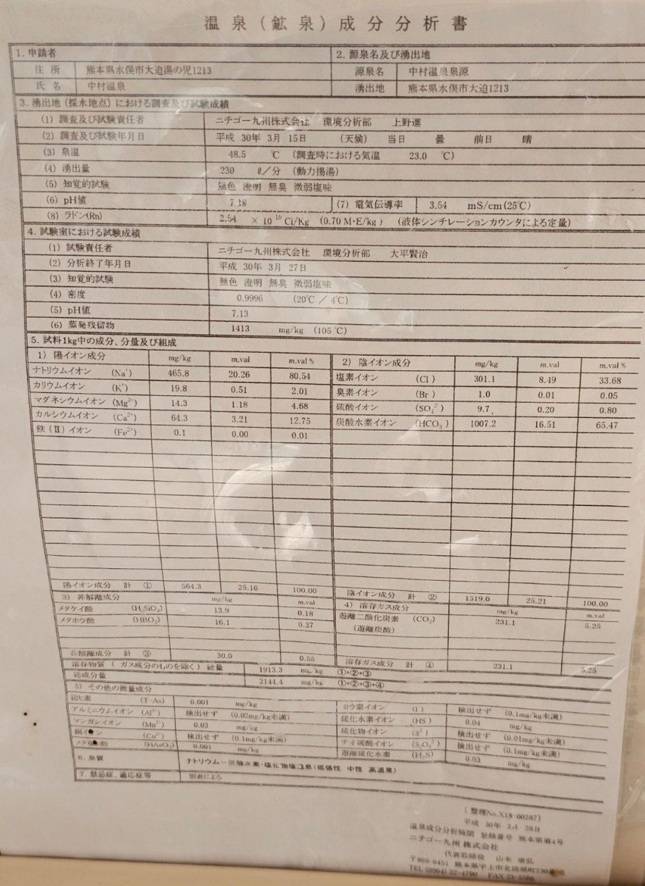 Nakamura Hot Spring — photo 8