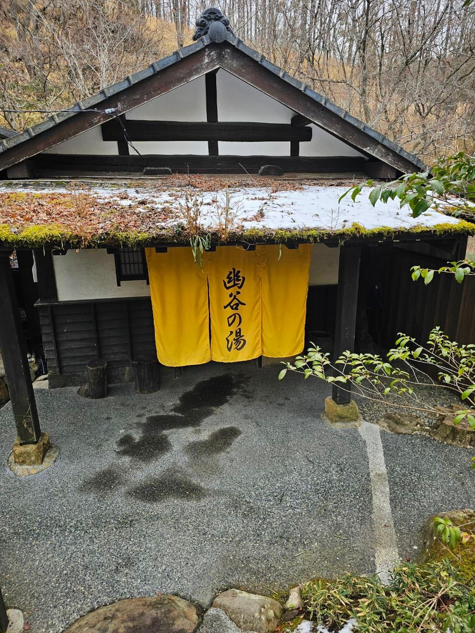 Yamamizuki — photo 2