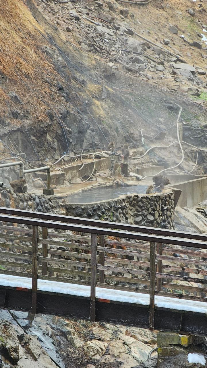 Jigokudani Hot Spring Korakukan — photo 5