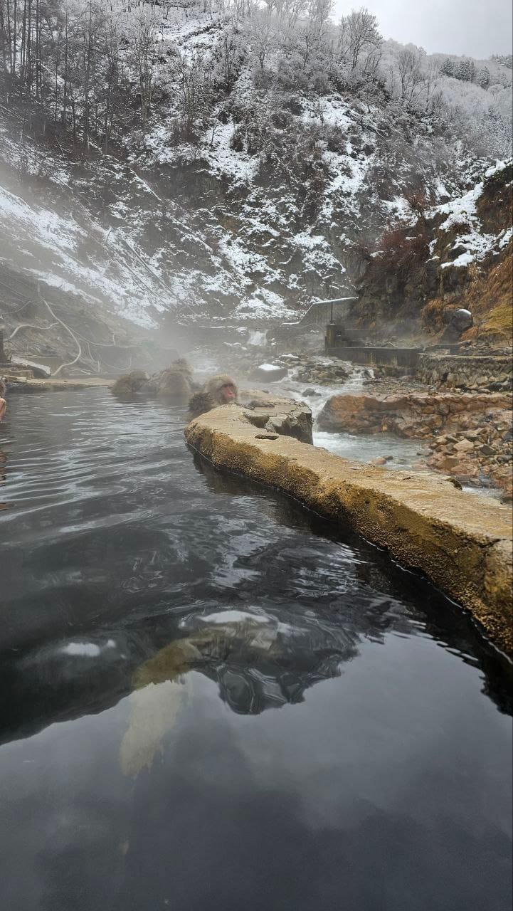 Jigokudani Hot Spring Korakukan — photo 11