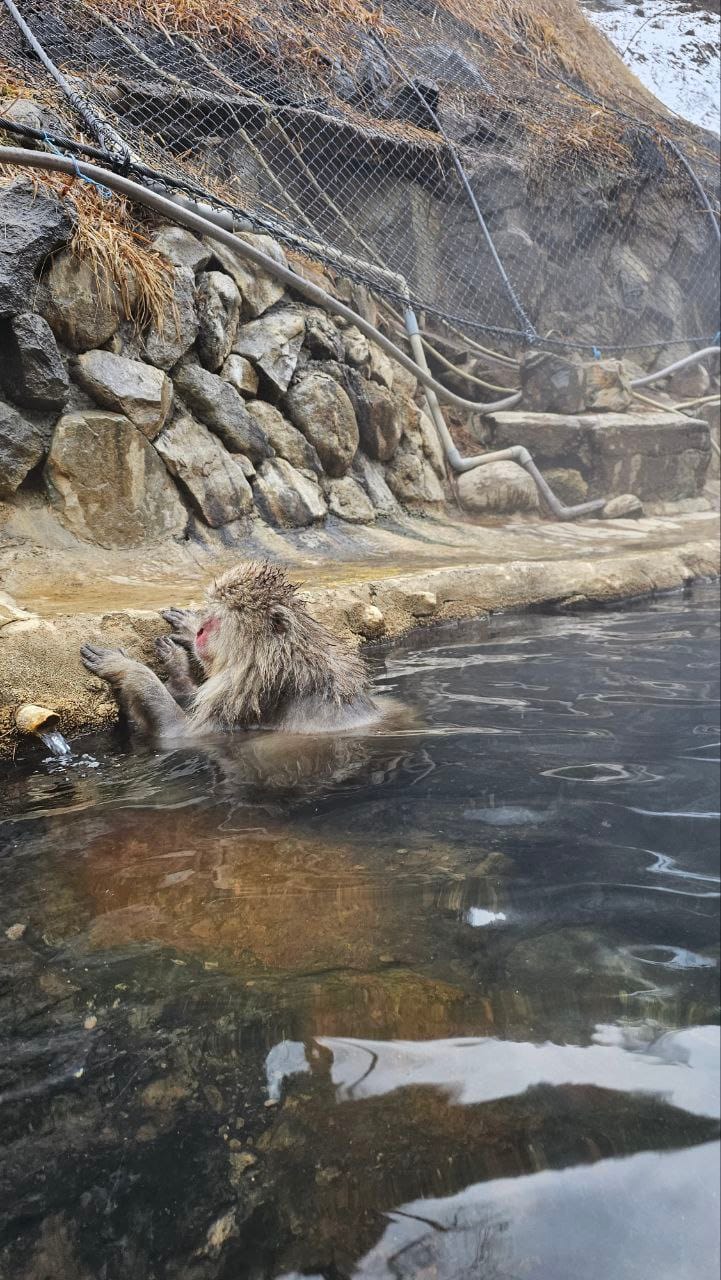 Jigokudani Hot Spring Korakukan — photo 9