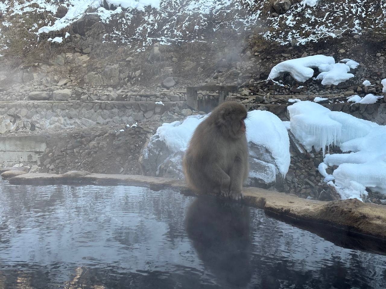 Jigokudani Hot Spring Korakukan — photo 12