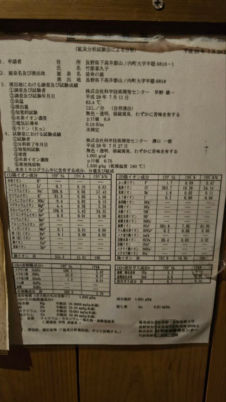 Jigokudani Hot Spring Korakukan — photo 15