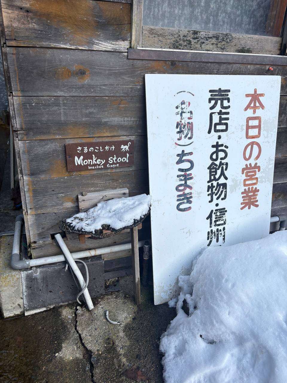 Jigokudani Hot Spring Korakukan — photo 6