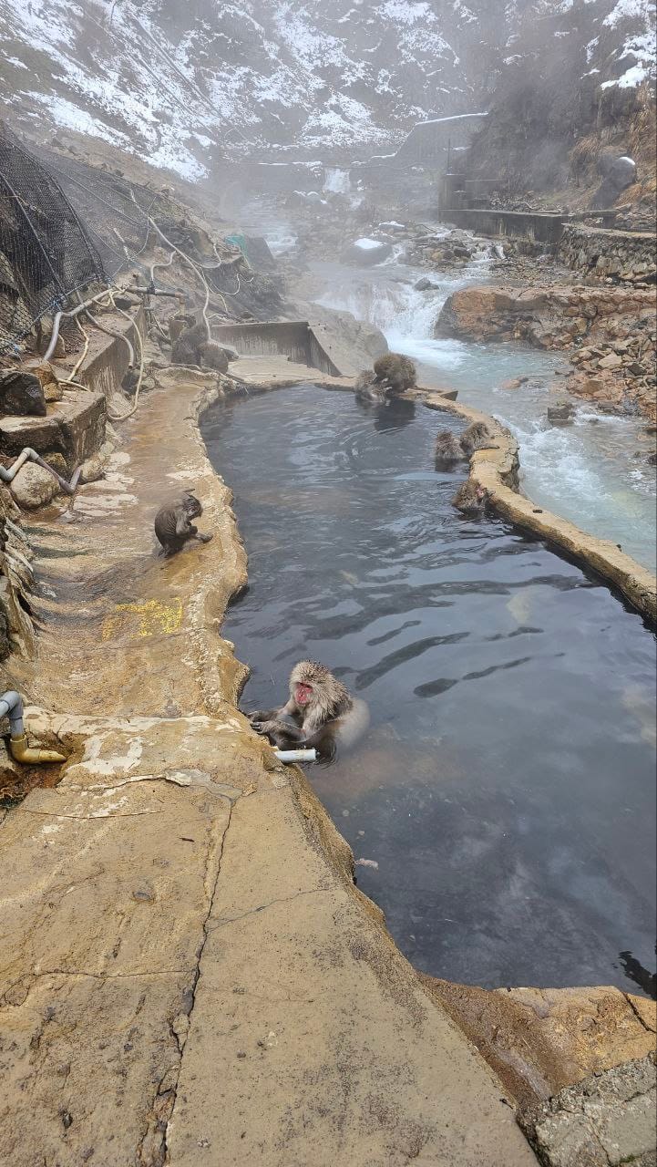 Jigokudani Hot Spring Korakukan — photo 7