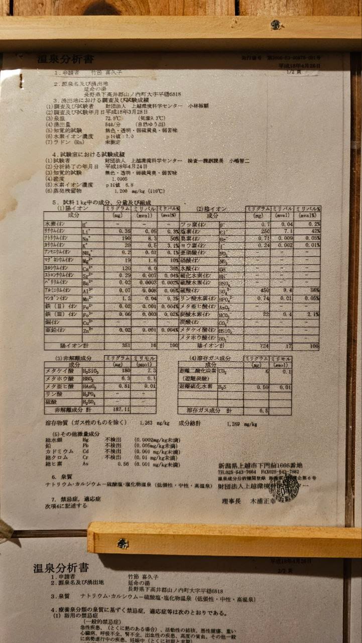 Jigokudani Hot Spring Korakukan — photo 13