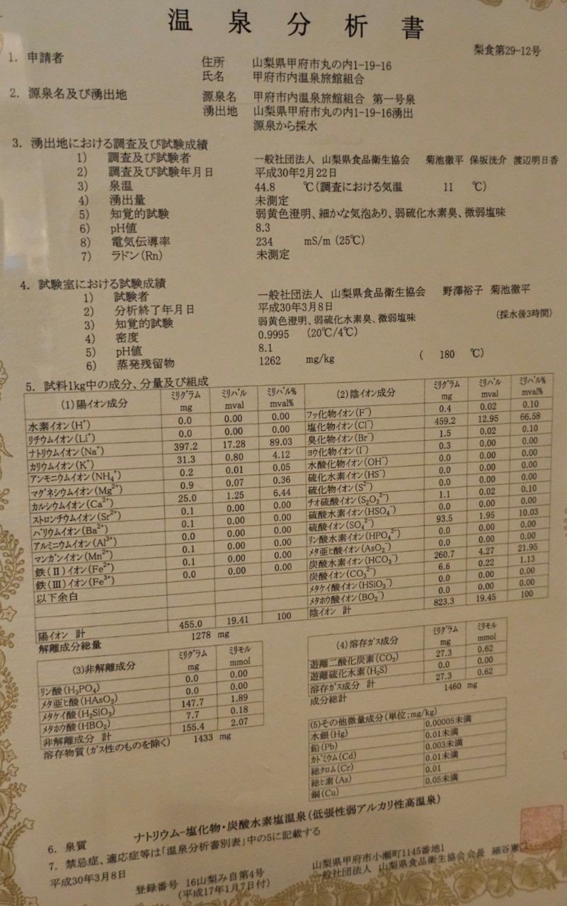 Hotel Danrokan — photo 5
