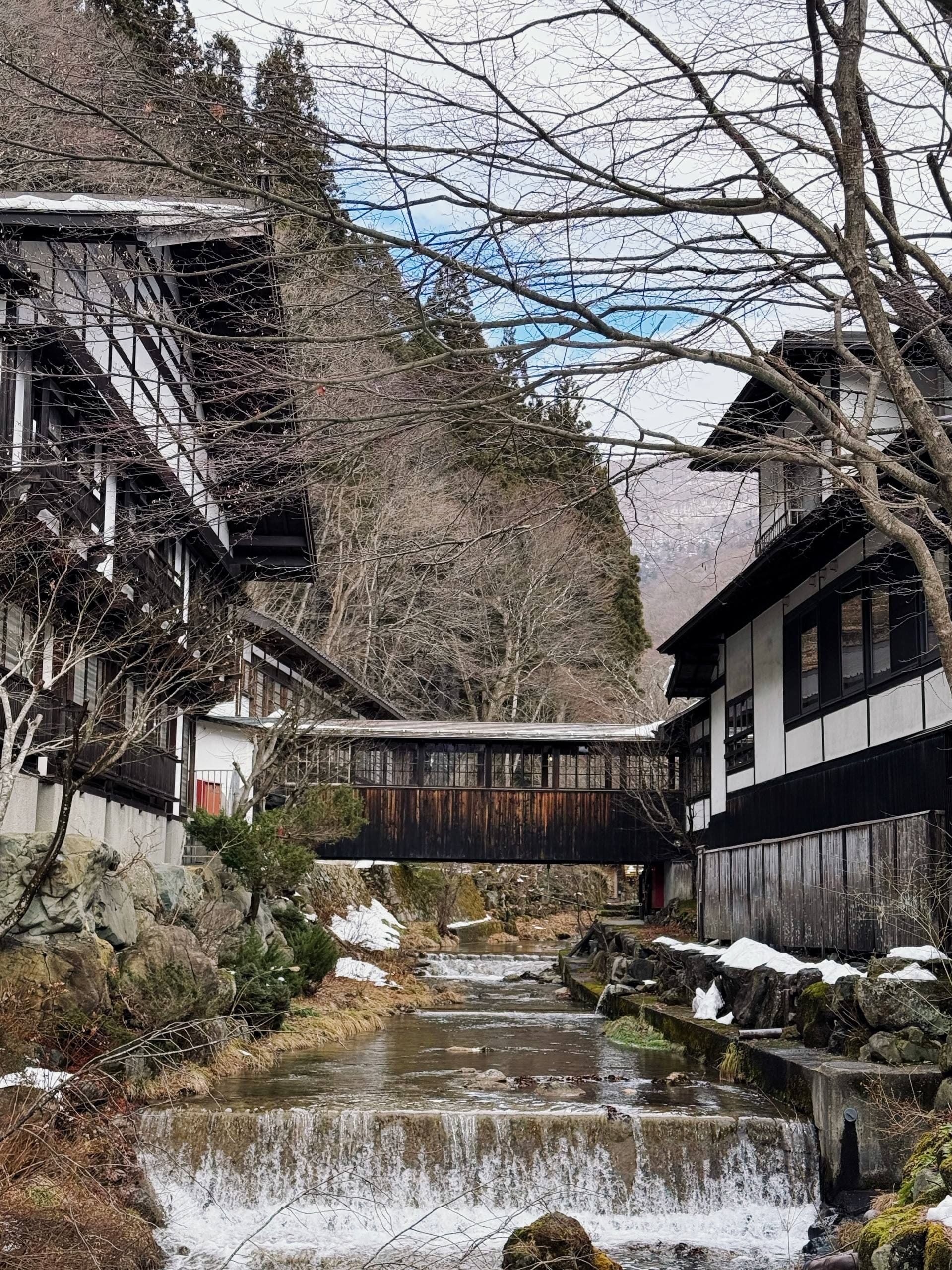 Hoshi Onsen Chōjukan, photo 4
