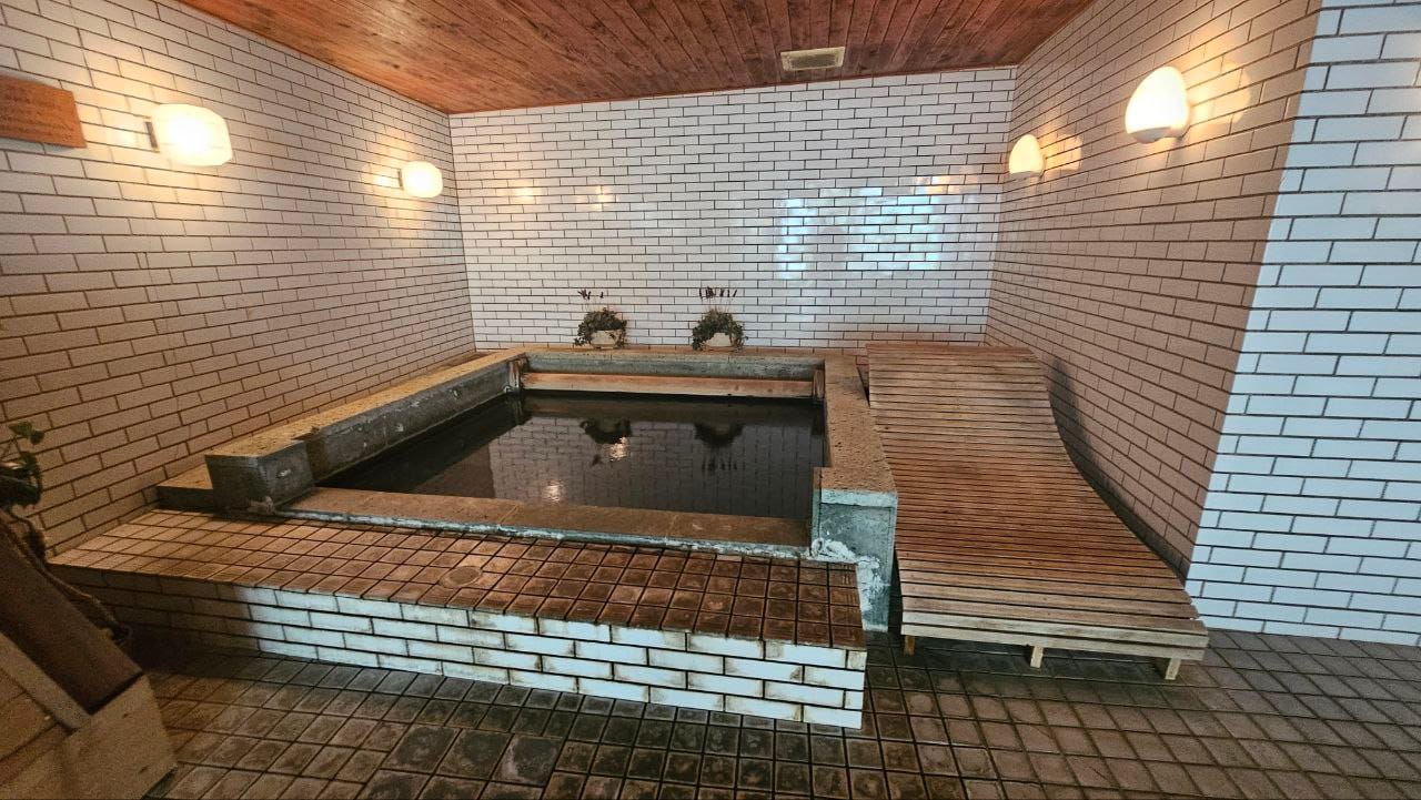 Kurhaus Ishibashi Ryokan — photo 7