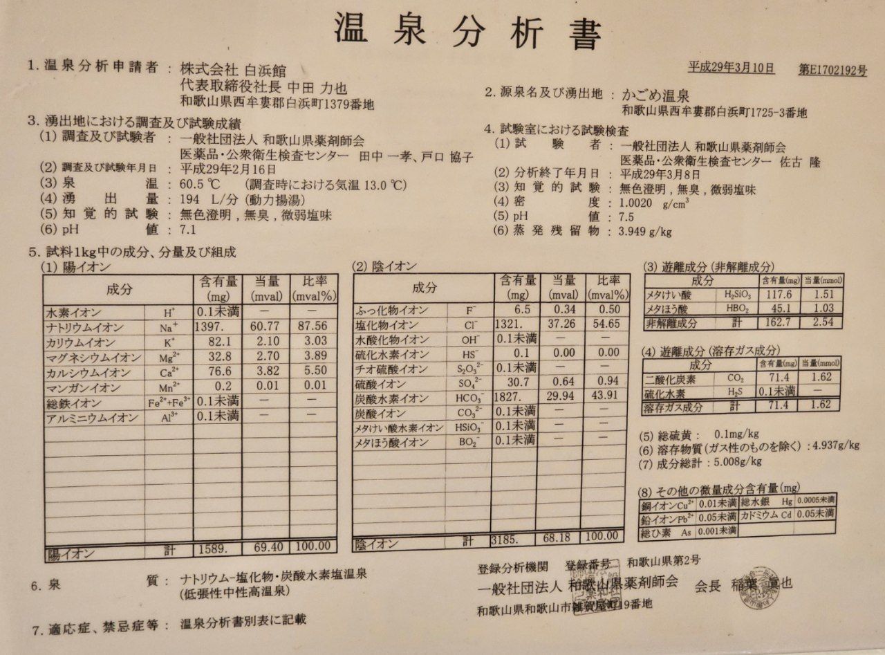 SHIRAHAMA KEY TERRACE HOTEL SEAMORE — photo 11