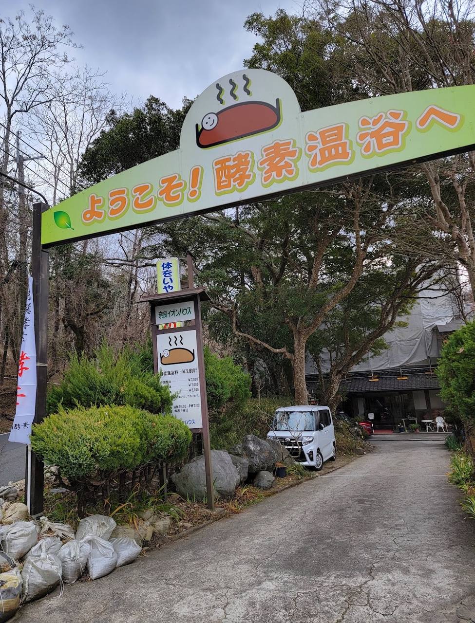 Nara Ion House — photo 1