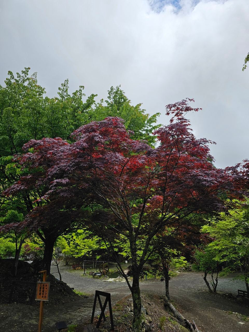 Akashi Onsen — photo 8