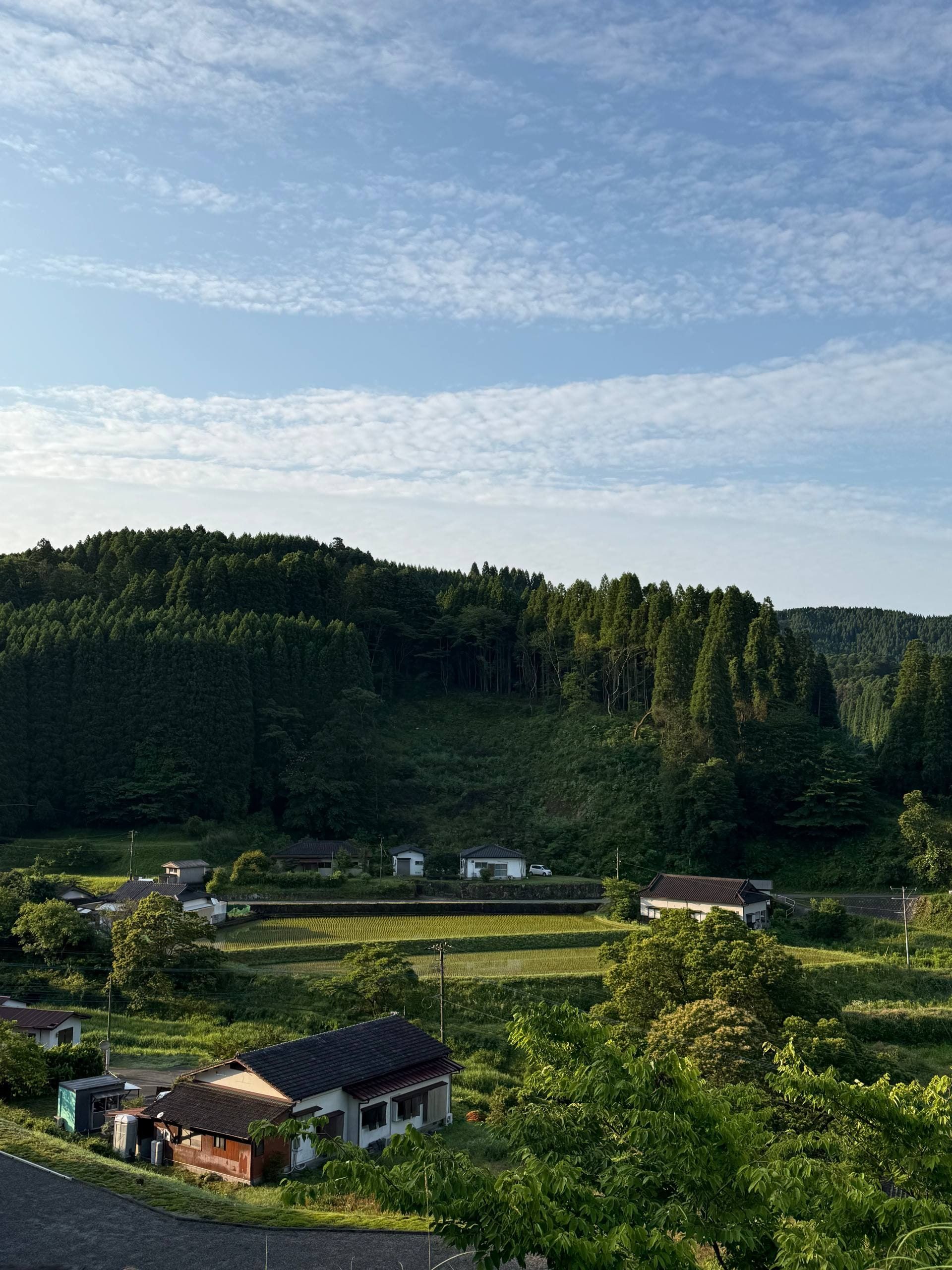 Hanayuu, photo 1