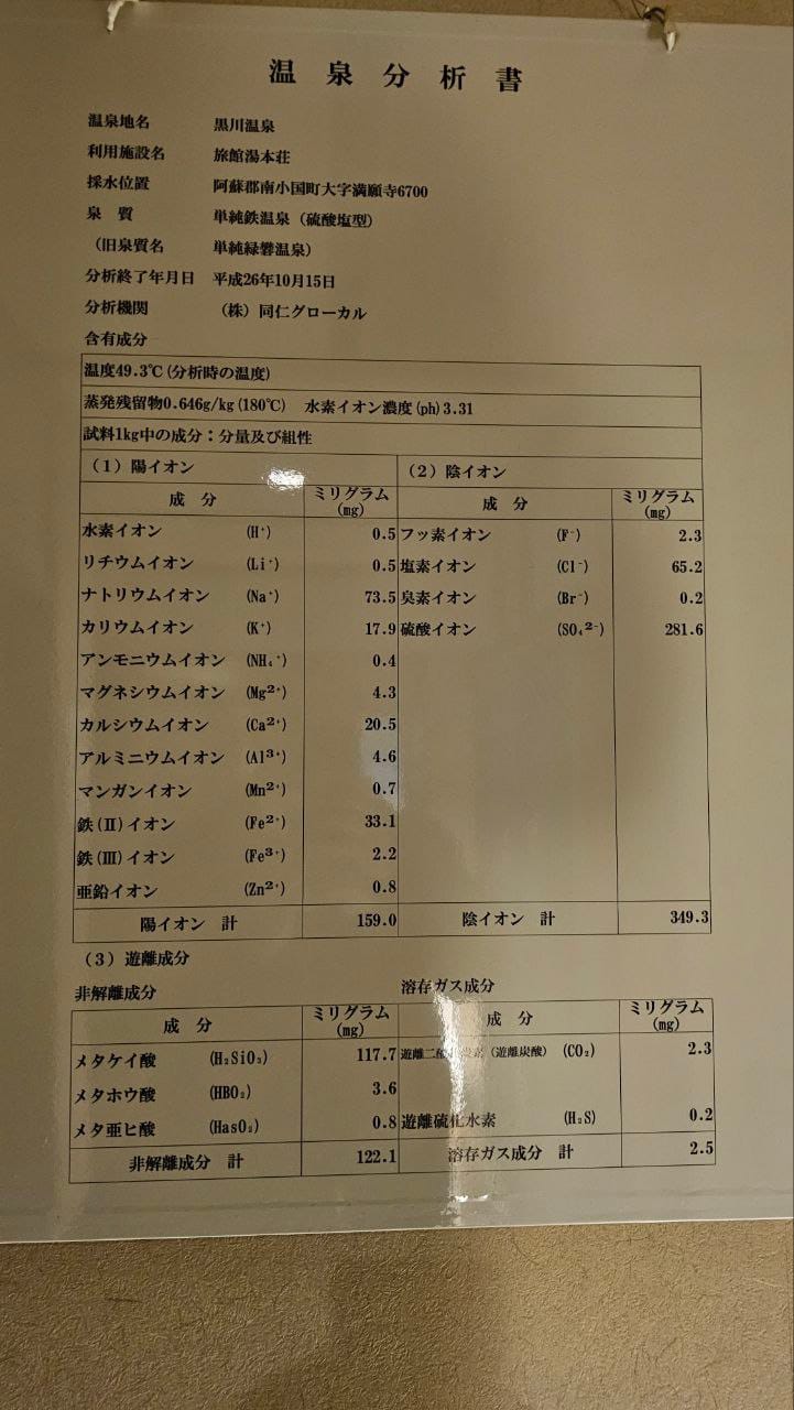 Ryokan Yumotoso — photo 2