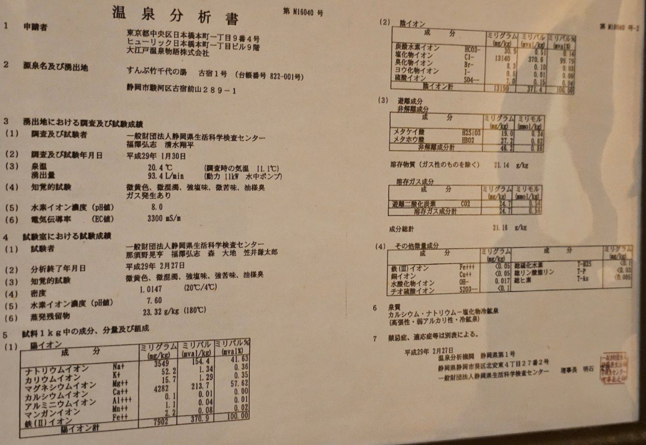 Liberty Resort Kunozan — photo 2