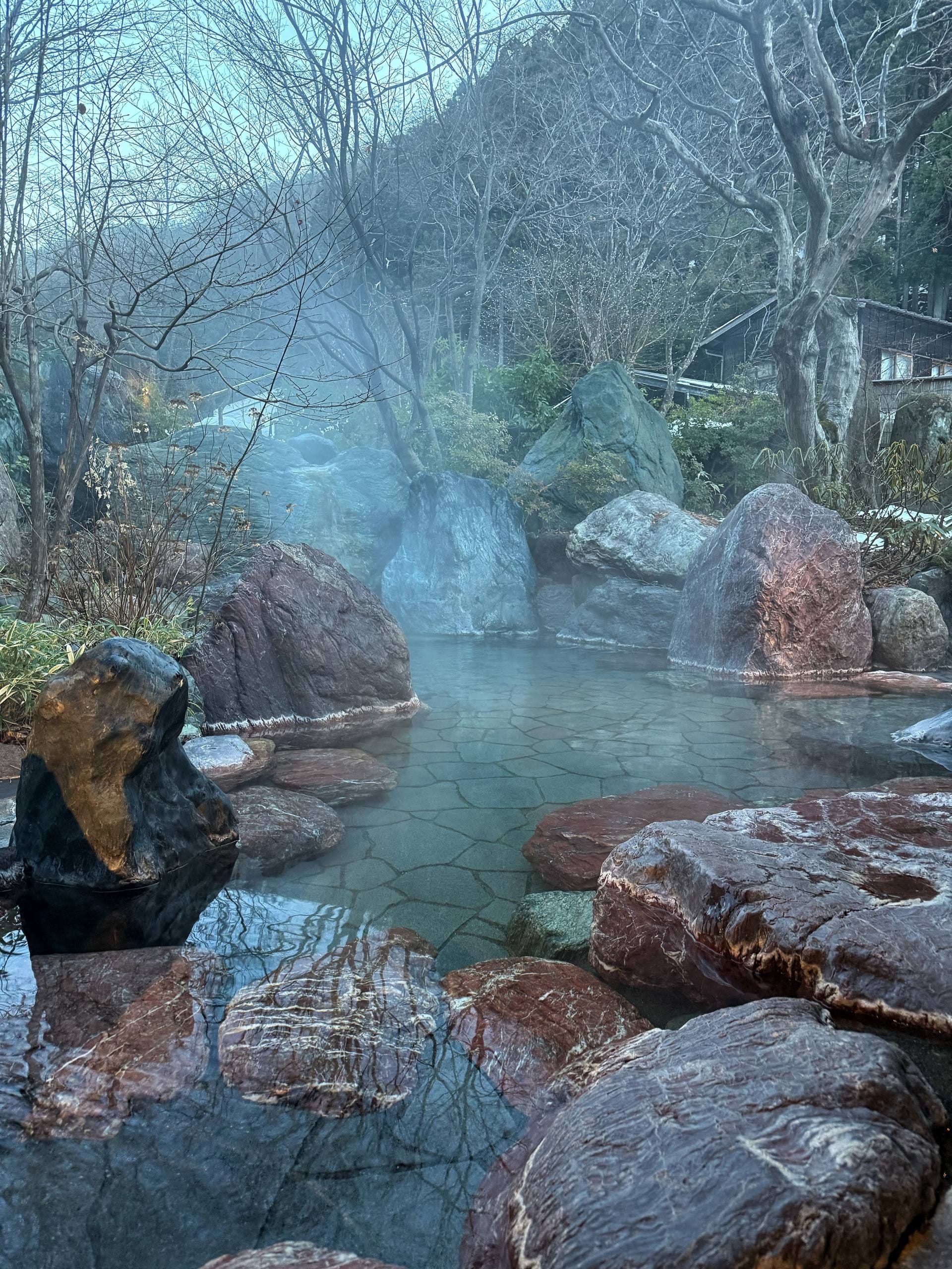Hoshi Onsen Chōjukan, photo 15