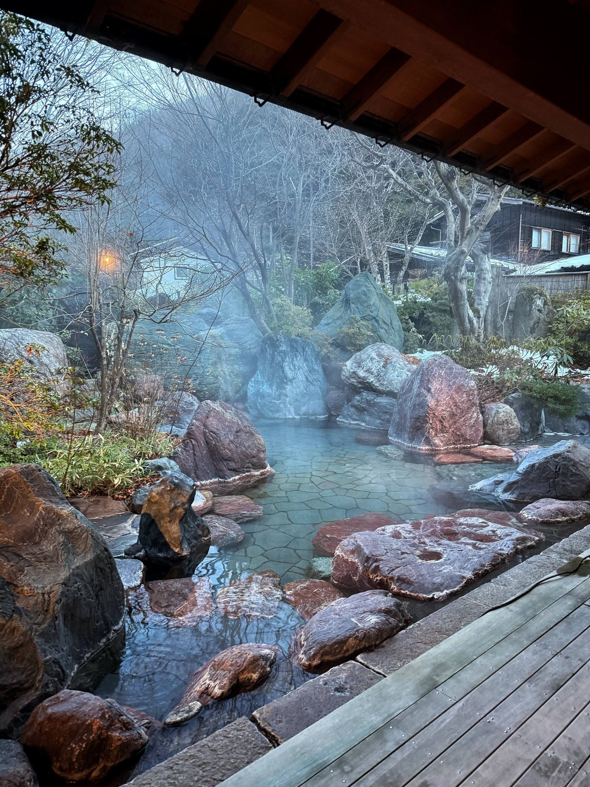 Hoshi Onsen Chōjukan, photo 14