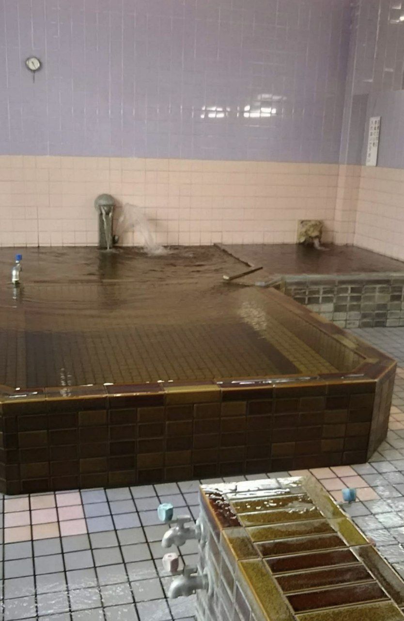 Shinyu Kame Onsen — photo 3